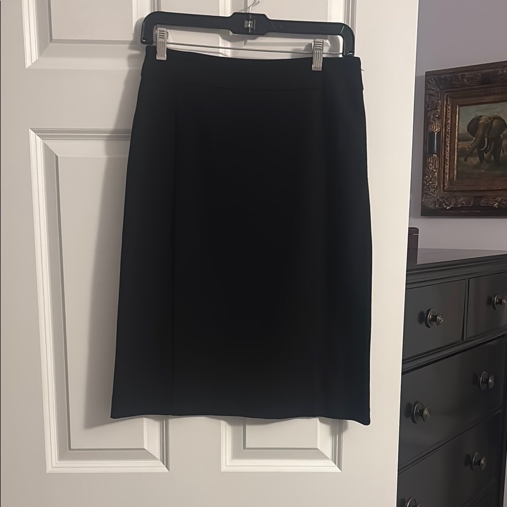 Elegant Black Skirt- Eileen Fisher XS